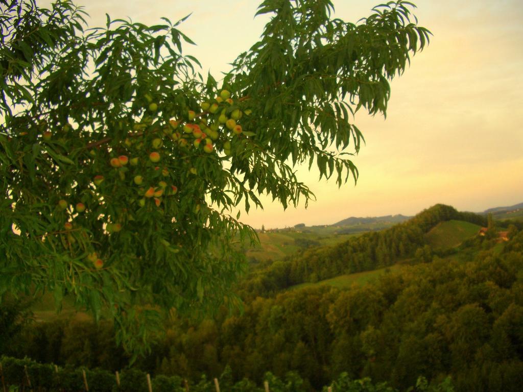 Weingut- Gaestezimmer Marko 루트스카치 외부 사진