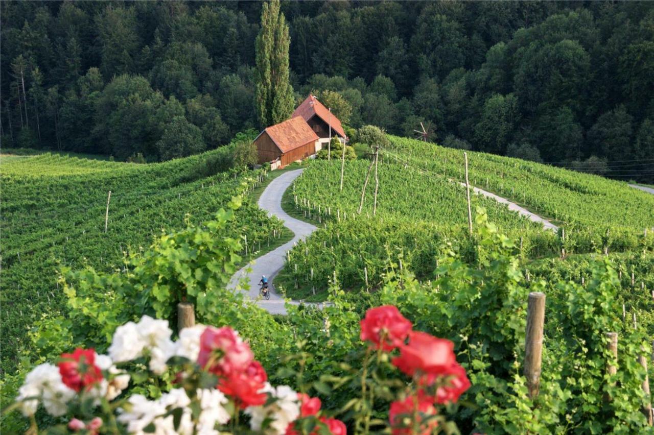 Weingut- Gaestezimmer Marko 루트스카치 외부 사진