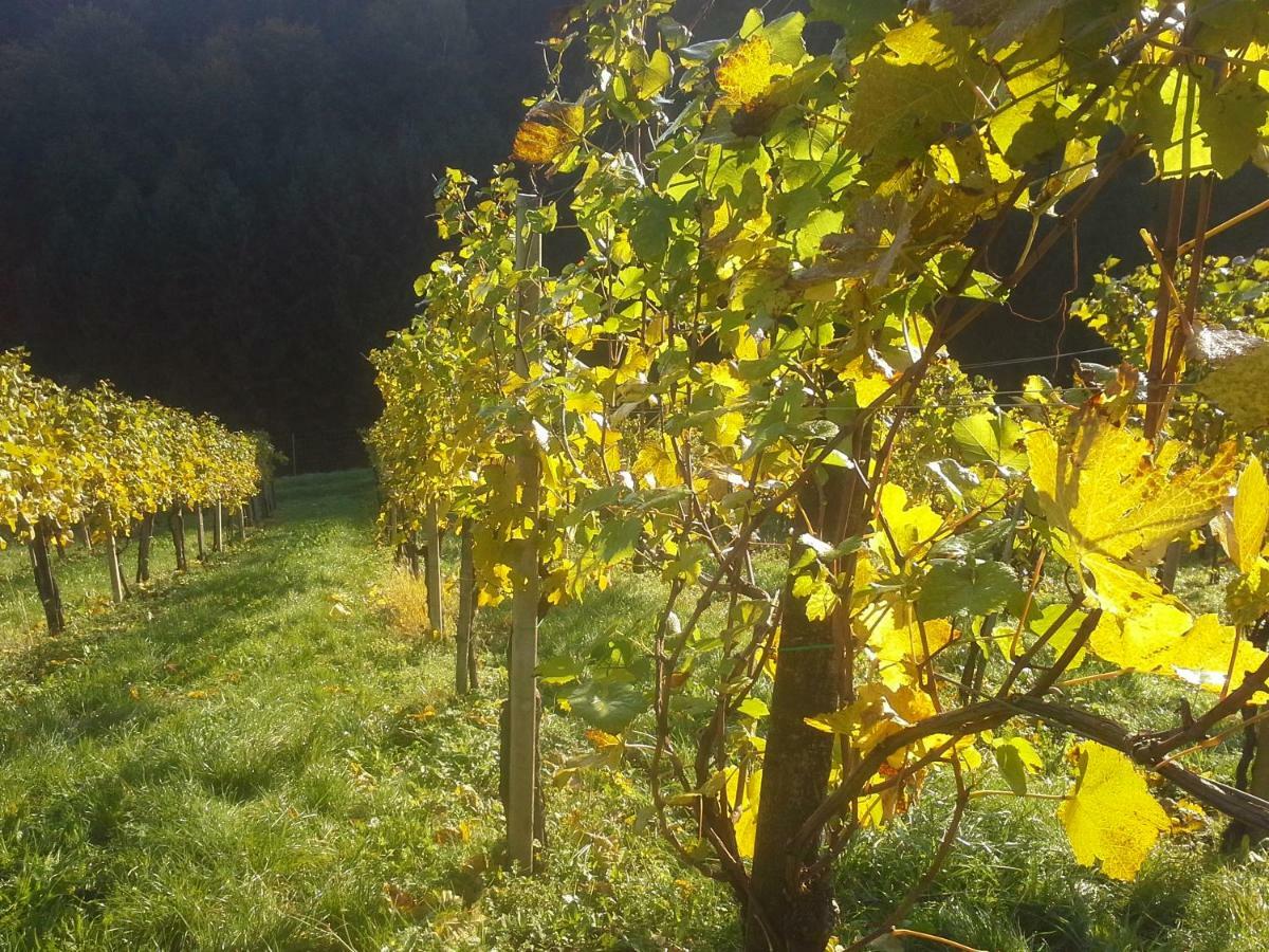 Weingut- Gaestezimmer Marko 루트스카치 외부 사진